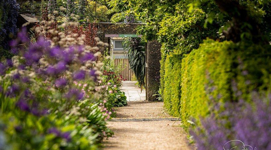 The Wedding Website of Melanie Acosta and Daniel Rodriguez