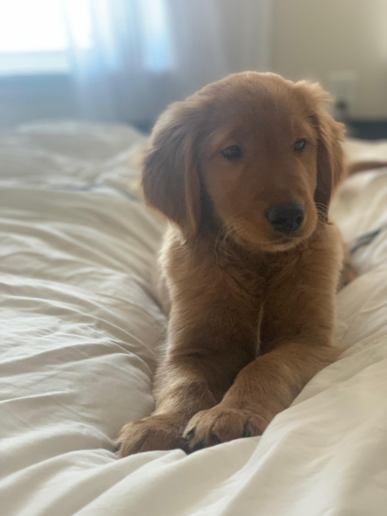 And then came Frankie, our pride and joy. Look at ‘im!