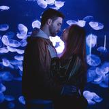 Omaha's Henry Doorly Zoo and Aquarium