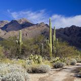Sabino Canyon Recreation Area