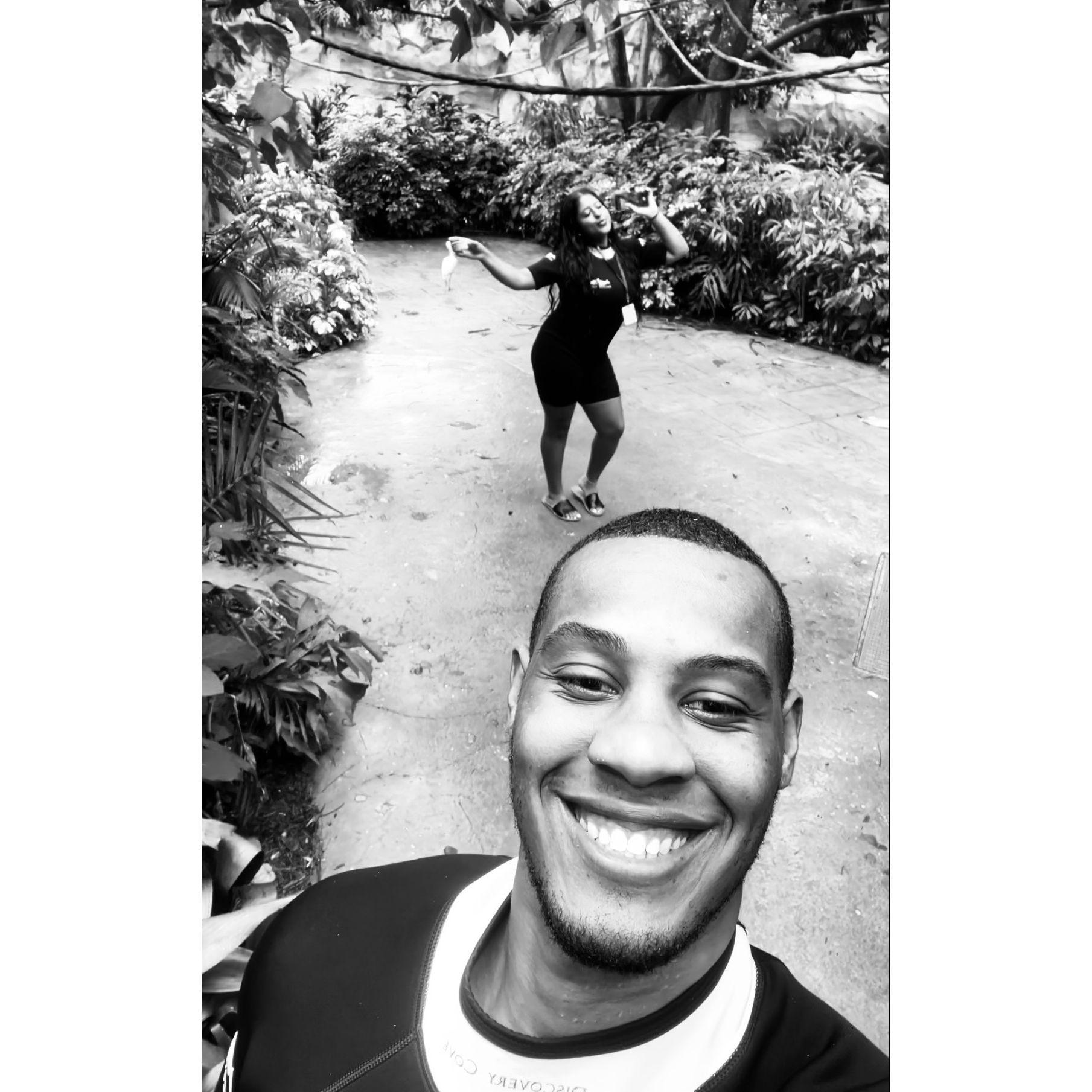 Discovery Cove Summer 2023