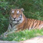 Cleveland Metroparks Zoo