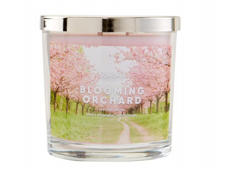 SONOMA Goods for Life™ Blooming Orchard 14-oz. Candle Jar