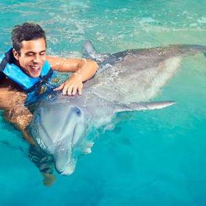 Dolphin Swimming Excursion
