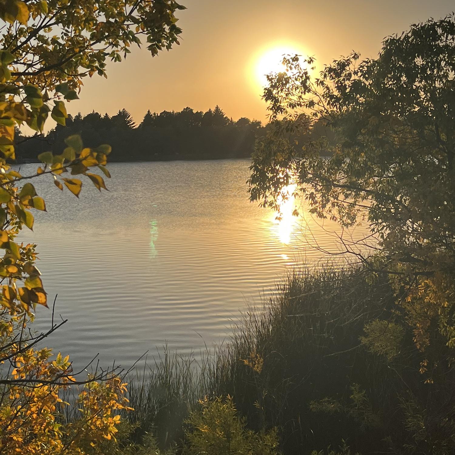 Sunset (Lions Park) 09/2024
