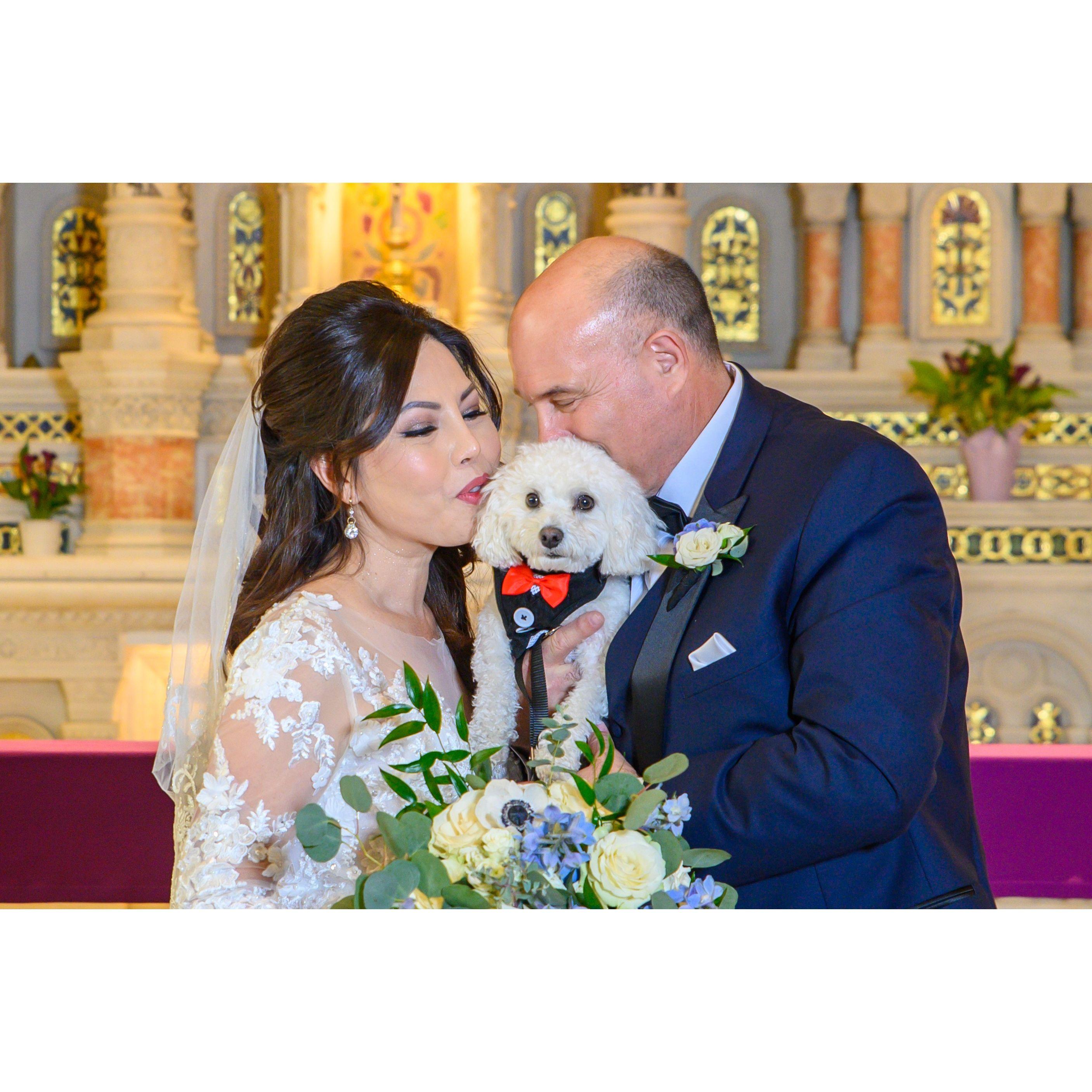 One of our favorite pictures with Buddy, our loving family pet, our friend snapped it for us on our special day.