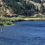 Madison River Float