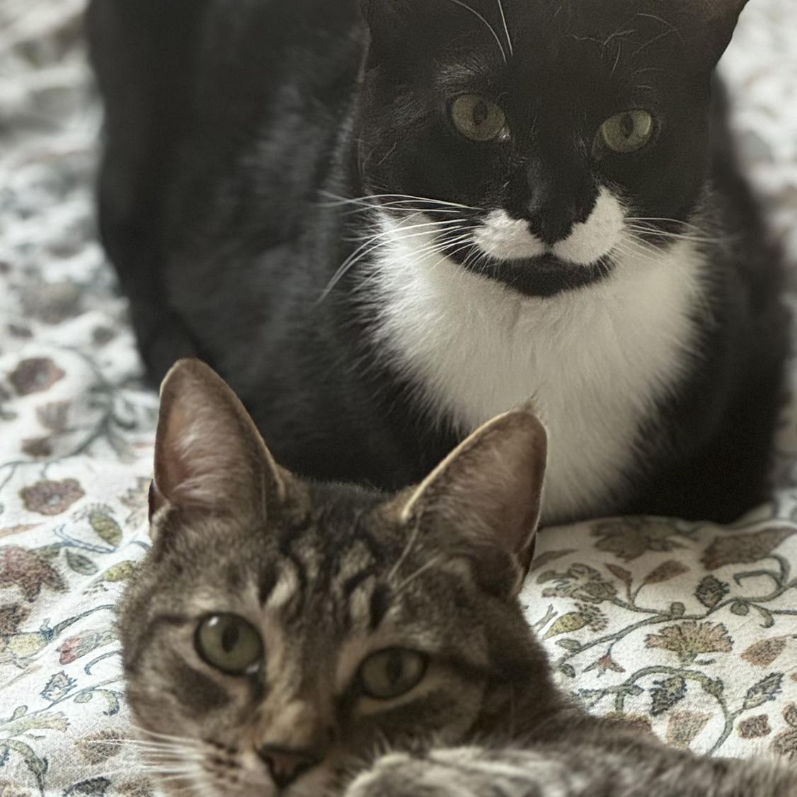 Our boys!