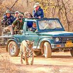 Ranthambore National Park