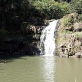 Waimea Falls
