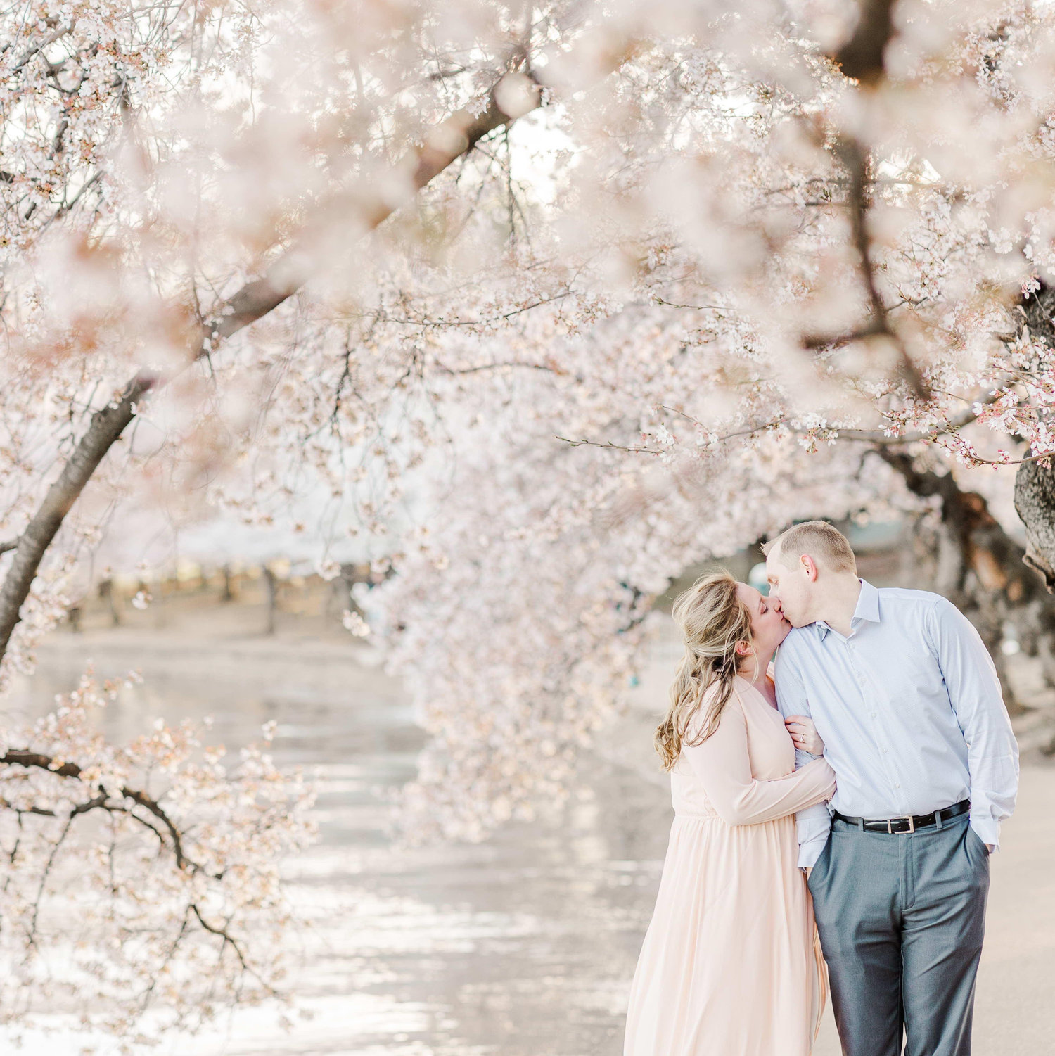 March 2022: Washington, D.C. Cherry Blossoms