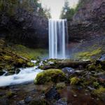 Tamanawas Falls Trailhead
