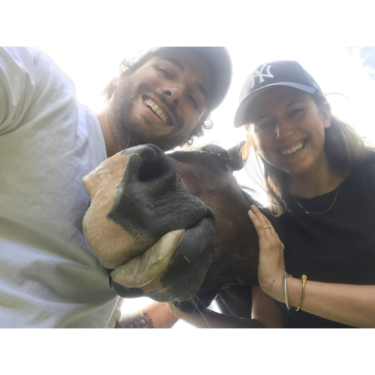 Jill grew up riding horses at her grandparent's farm in NC. Mike overcome his fear of horses (which he believes are aliens) with her help during their trip.
Southern Pines, NC - September 2018