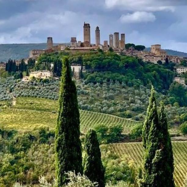 Horseback Riding through Chianti winery in Florence