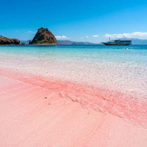 Boat Trip to Komodo's Pink Beach!