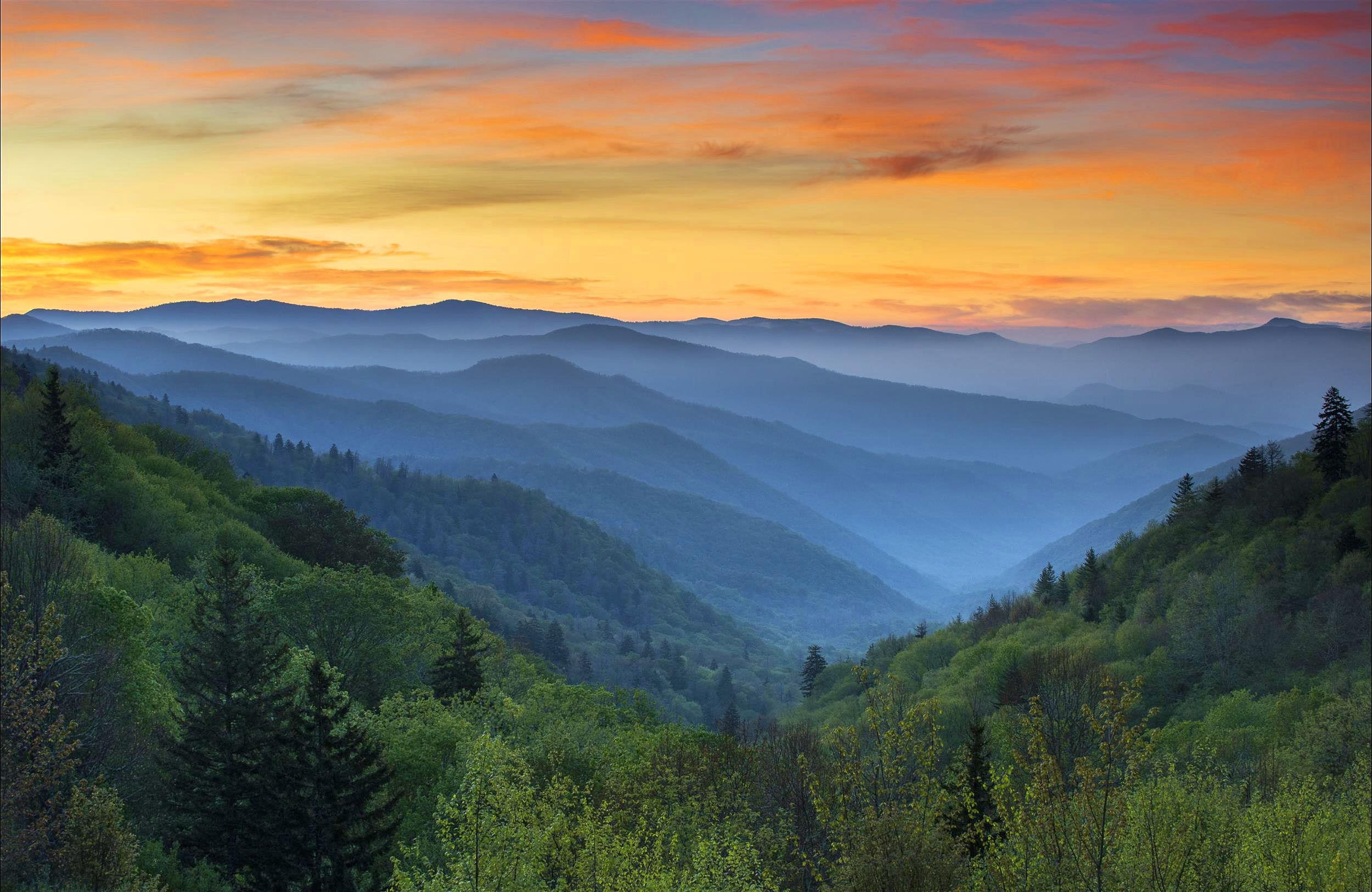 The Wedding Website of Erin Byrd and Nick Neary