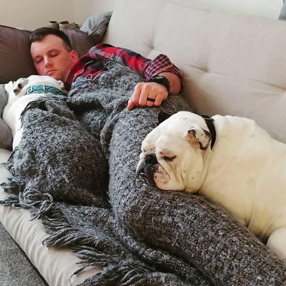 They get along once in a while