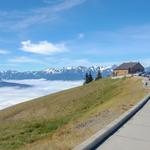 Hurricane Ridge