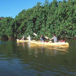Kayak Tour (Honeymoon)