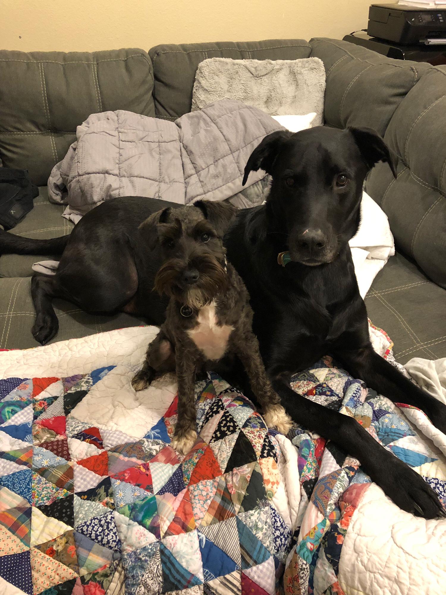 Our boys ❤️