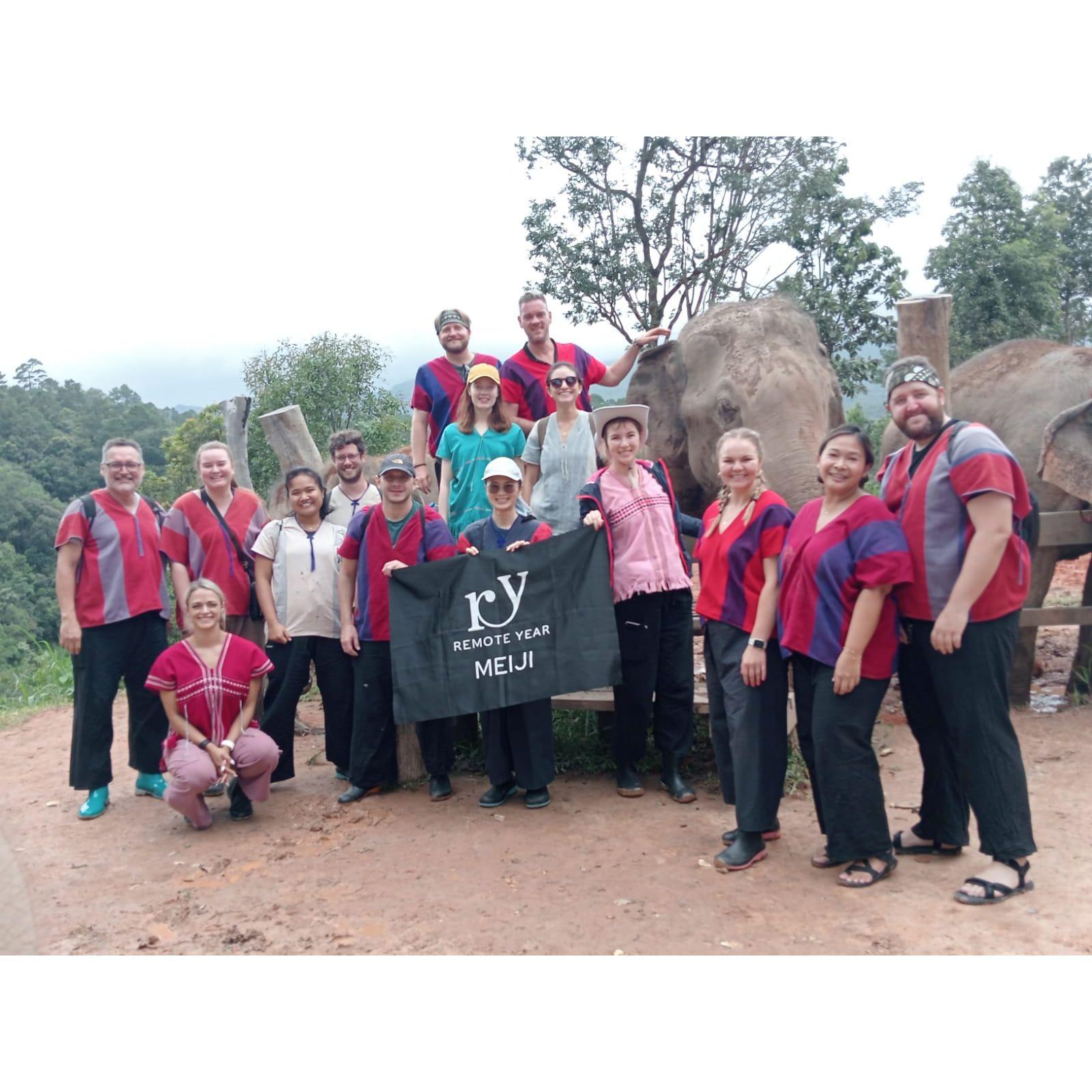 Elephant trekking in Thailand
