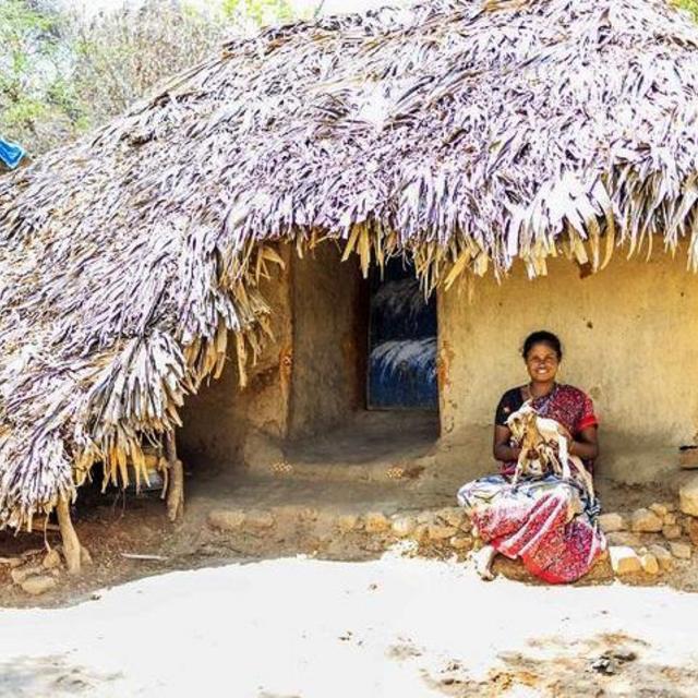 IJM: Build a simple thatched home