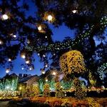 Bellingrath Gardens and Home
