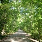Walk the Greeneway