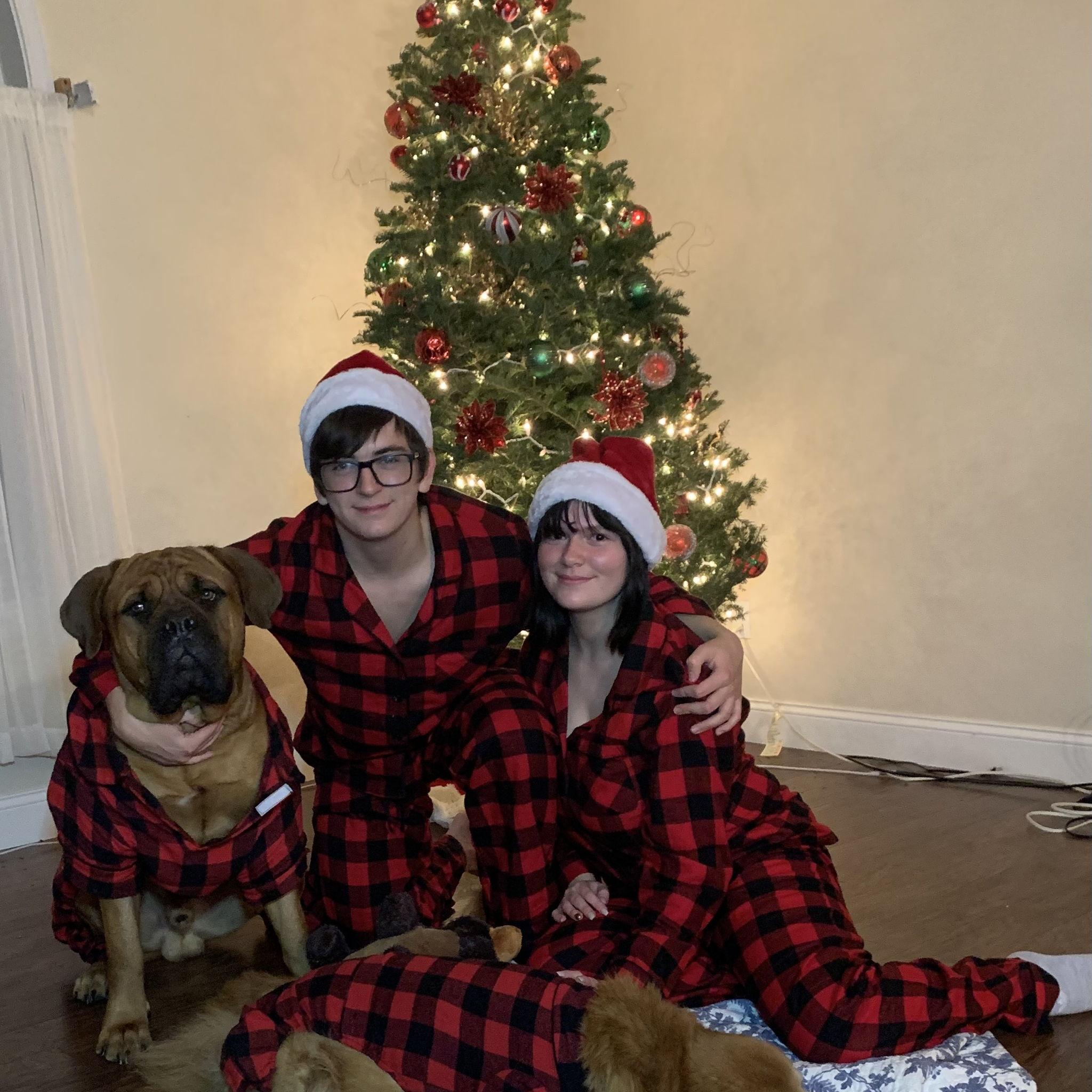 Christmas with Teddy and Fiona, 2020