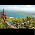 Tree Limin' Extreme Zipline St. Thomas