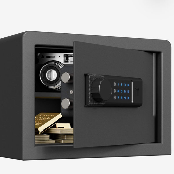 Biometric Home Safe with Fingerprint Digital Lock for Cash & Jewelry, 0.5 Cubic Feet, RPNB RP25FSA