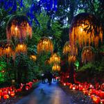 Newfields- Harvest Nights Festival