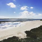 Oso Bay Wetlands Preserve & Learning Center