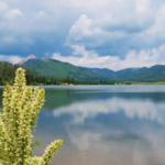 Pearl Lake State Park
