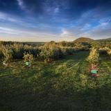 Warwick Valley Winery, Distillery & Orchard