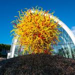 Chihuly Garden and Glass
