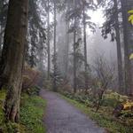 Local Hike: Burnaby Mountain
