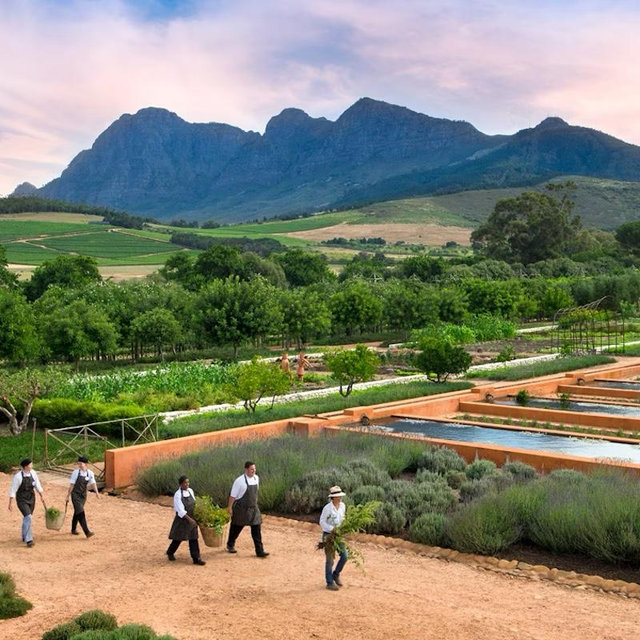 Honeymoon - Wine Country, Excursion to a Private Mountain Pool and Picnic