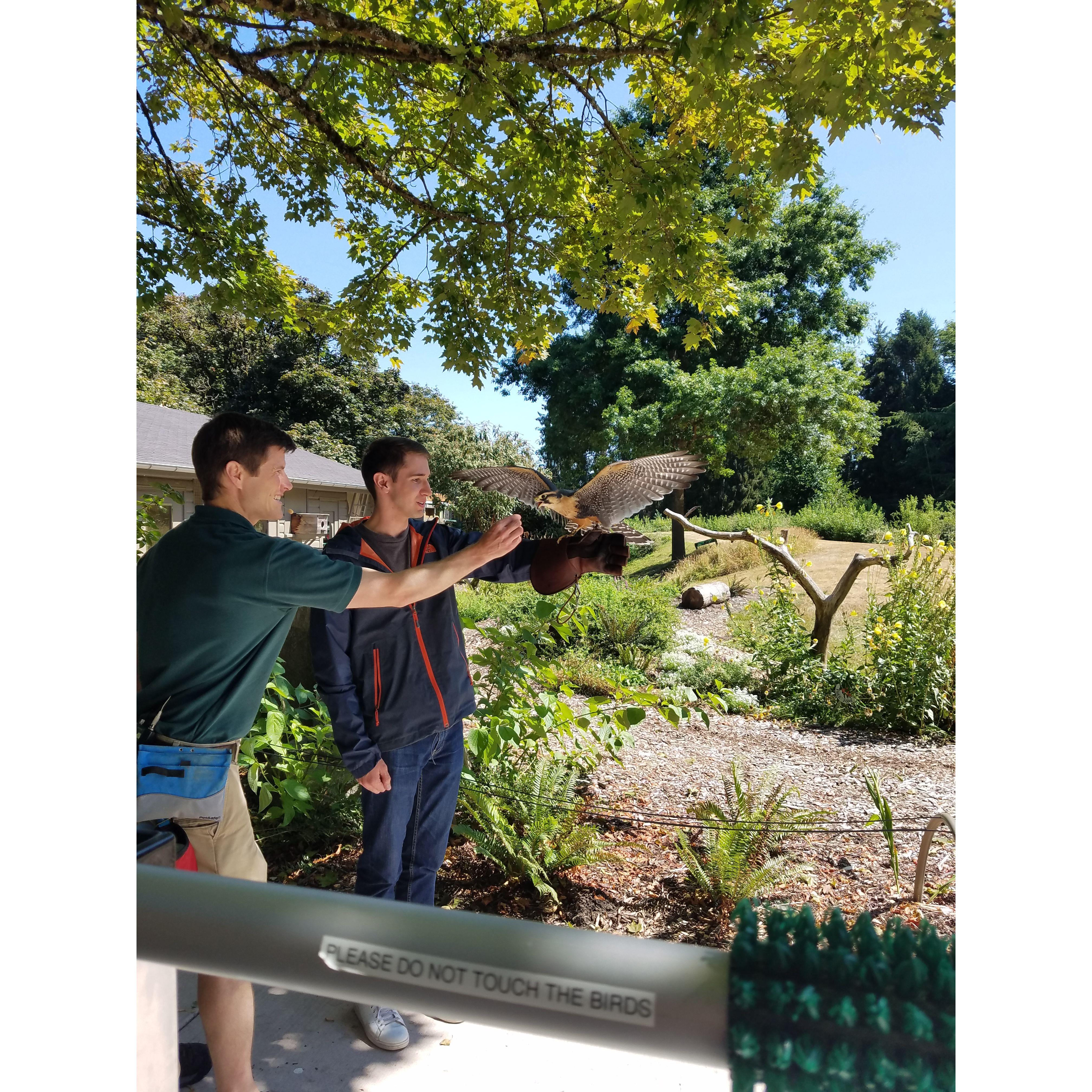 The very first time Emily took Ryan to the zoo, she worked her zoo magic for Ryan to be the chosen guest to catch a falcon.