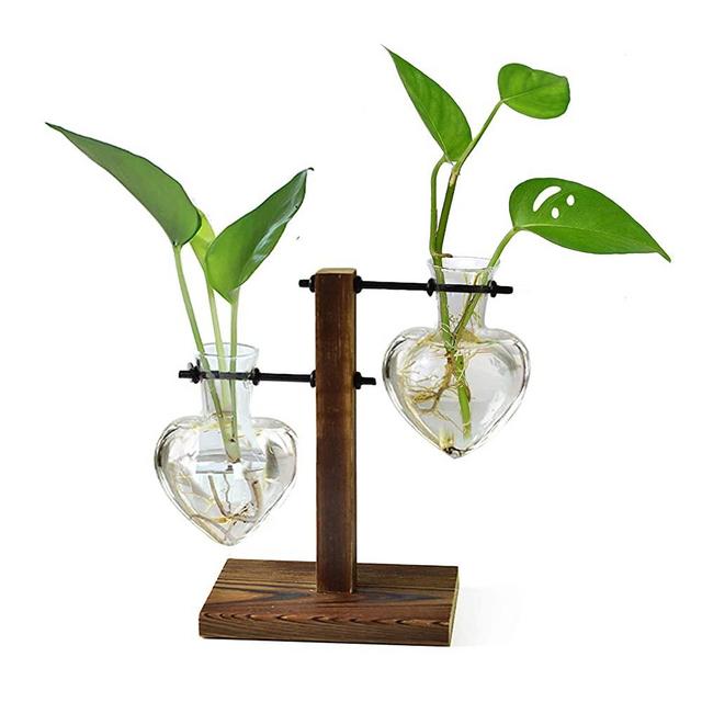 XXXFLOWER Plant Terrarium Wooden Stand, Hydroponic Planter Bulb Glass Vase Metal Swivel Holder Retro Air Plants Tabletop Home Garden Office Decoration - 2 Bulb Vase Left Right