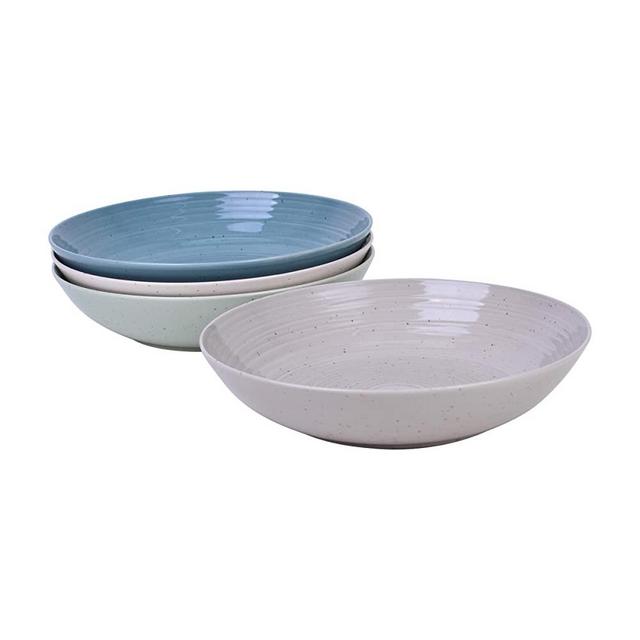 Siterra Artist's Blend Set Of 4 Dinner Bowls