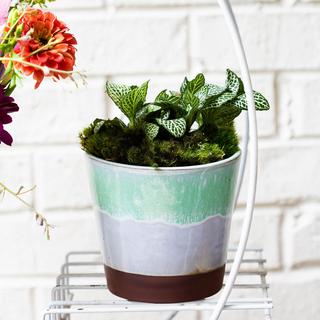 Garden Mint Ombre Cachepot