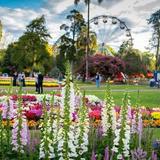 Queens Park Toowoomba