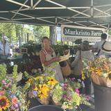 Great Barrington Farmer's Market