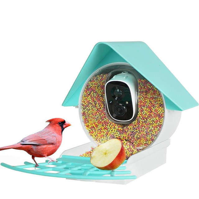 Birdkiss Smart Bird Feeder with Camera, 1080P HD Bird House Camera with Solar Panel, Auto Capture Bird Videos & AI Identify 10,000 Bird Species, App Notification, Free 32G SD Card, Ideal for Gift