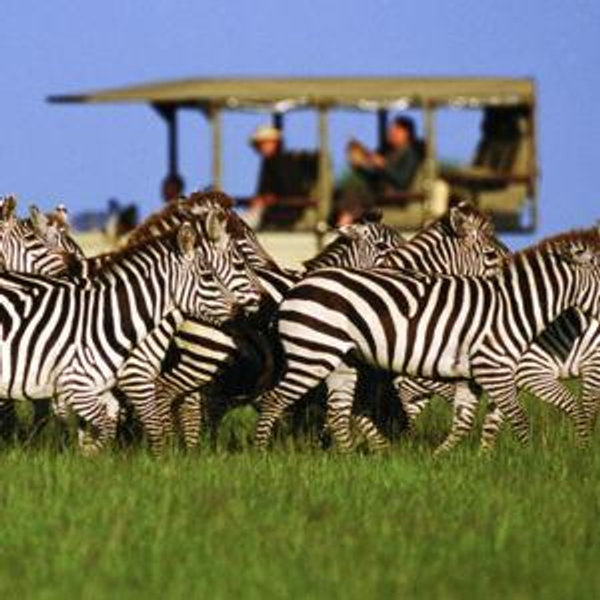 Dream trip to Tanzania