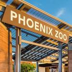 The Phoenix Zoo
