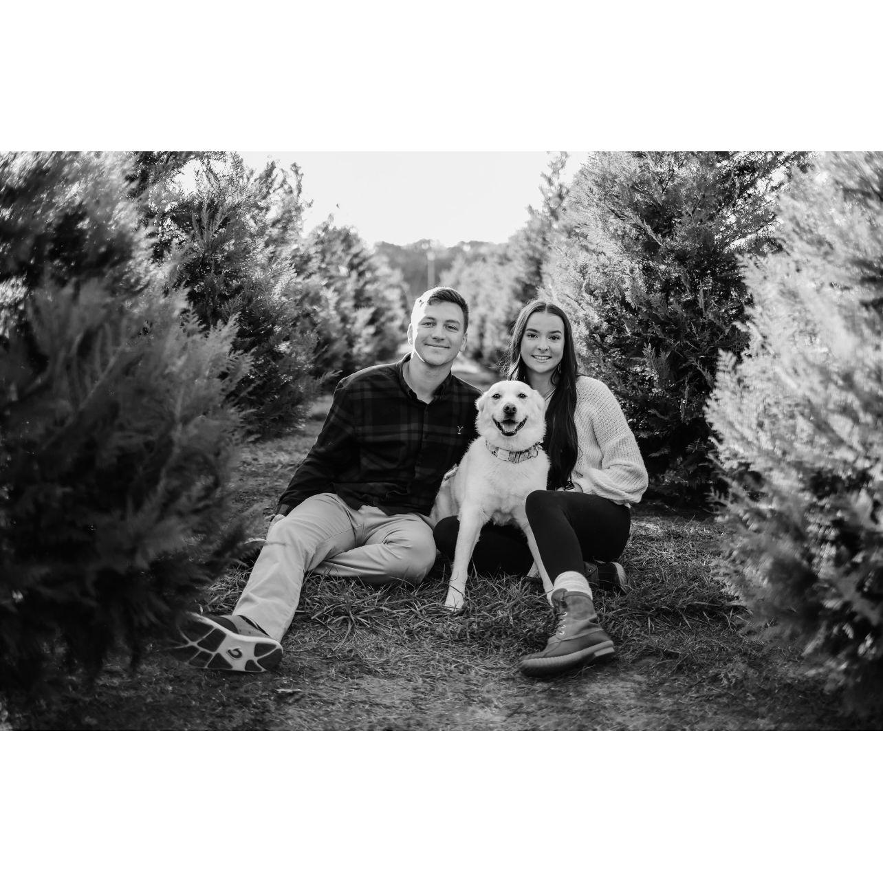 Family Christmas Photos 2023