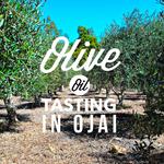 Santa Barbara: Ojai Olive Oil