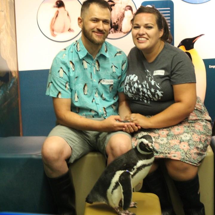 Penguin Day 2019 with Mercedes the Penguin